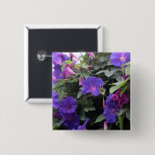 春モーニンググロリズインブルー 缶バッジ (正面&裏面)