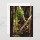 春ヤングシダ立ち上がりCC0919美しい自然 ポストカード (正面/裏面)