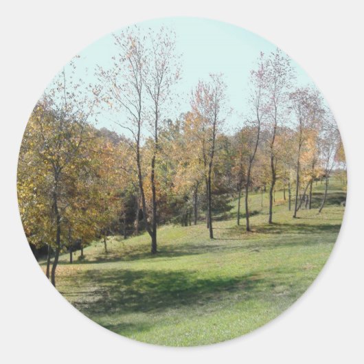 春ライクツリー ラウンドシール (正面)