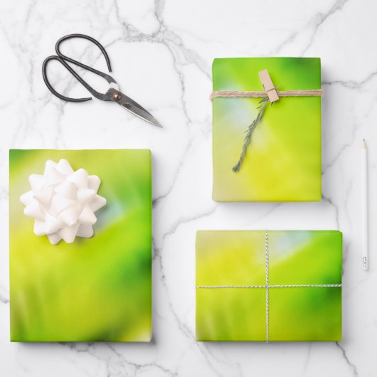 春ライト ラッピングペーパーシート (正面)