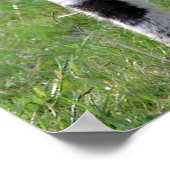 春ラム – ファインアートプリント ポスター (角)