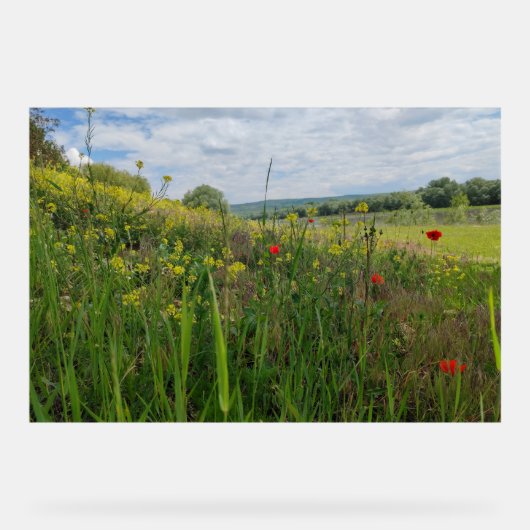 春リバーサイド撮影 アクリルサイン (正面)