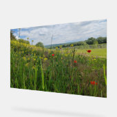 春リバーサイド撮影 アクリルサイン (傾斜)