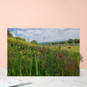 春リバーサイド撮影 アクリルサイン (ウェディング)