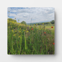 春リバーサイド撮影