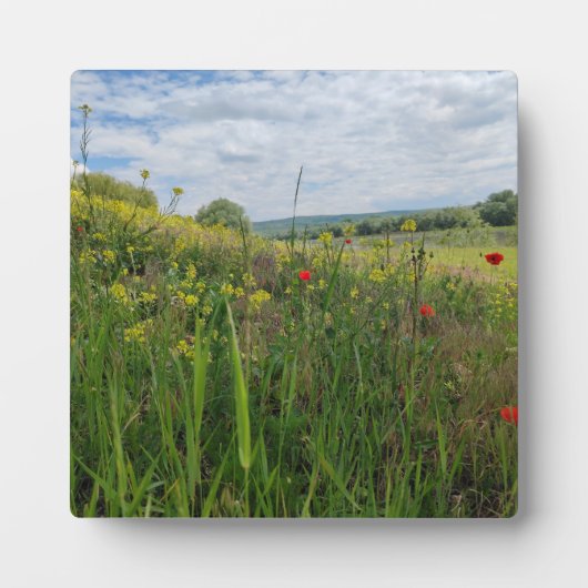 春リバーサイド撮影 フォトプラーク (正面)