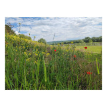 春リバーサイド撮影