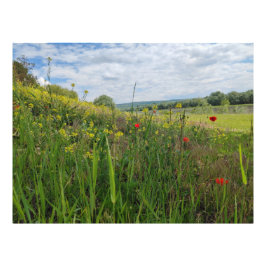 春リバーサイド撮影 フォトプリント           