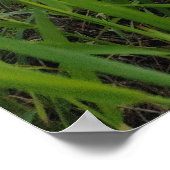 春リバーサイド撮影 ポスター (角)