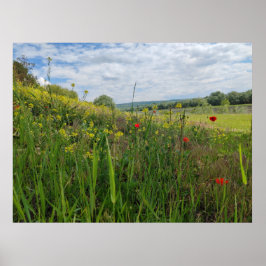 春リバーサイド撮影 ポスター