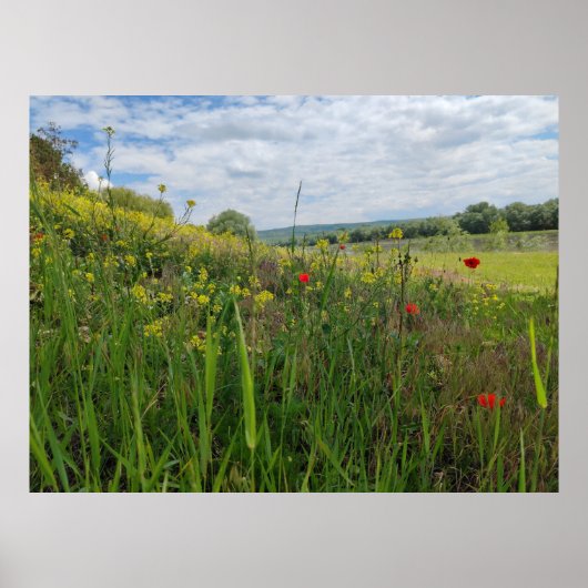 春リバーサイド撮影 ポスター (正面)