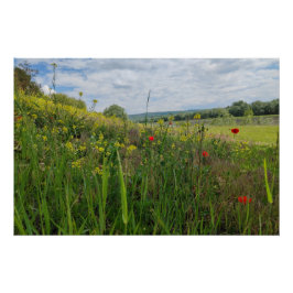 春リバーサイド撮影 ポスター