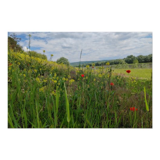 春リバーサイド撮影 ポスター (正面)