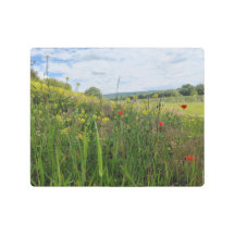 春リバーサイド撮影