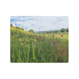 春リバーサイド撮影 メタルプリント