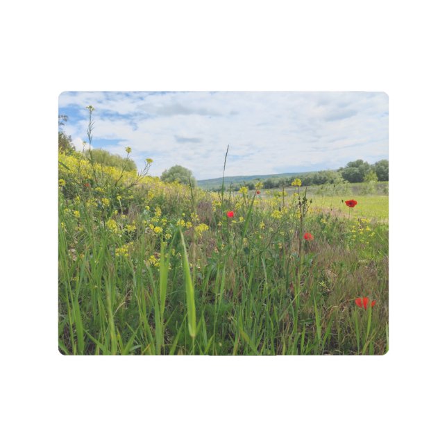 春リバーサイド撮影 メタルプリント (正面)