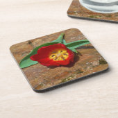 春レッドチューリップ コースター (左側)