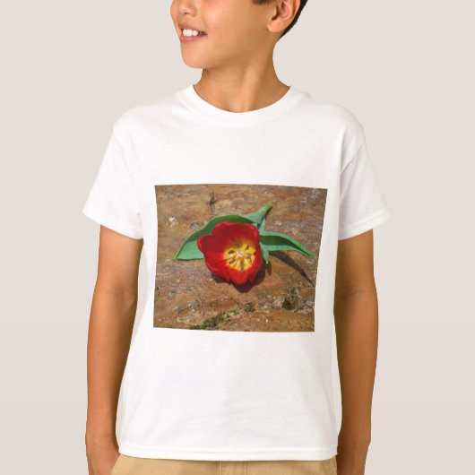 春レッドチューリップ Tシャツ (正面)