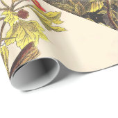 春ロビンバーズレッド野鳥観察 ラッピングペーパー (ロールコーナー)