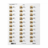 春ロビンバーズレッド野鳥観察 ラベル (フルシート)