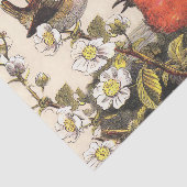 春ロビンバーズレッド野鳥観察 薄葉紙 (詳細)