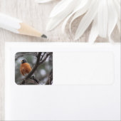 春ロビン住所 シール (インサイチュ)