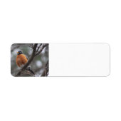 春ロビン住所 シール (正面)