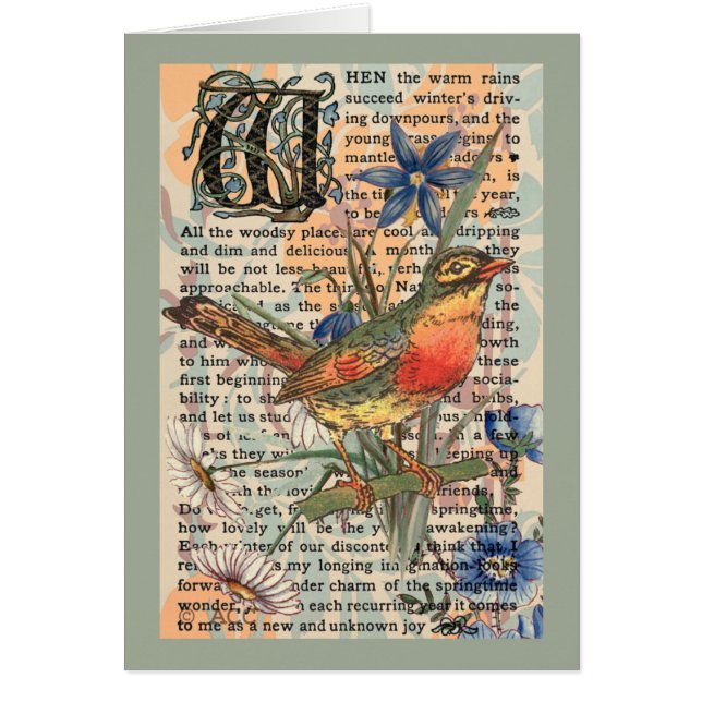 春ロビン (正面)