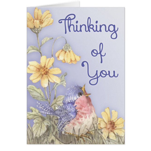 春ロビン (正面)