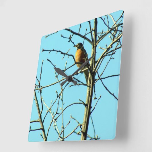 春ロビン スクエア壁時計 (傾斜)