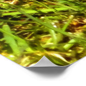 春ロビン ポスター (角)