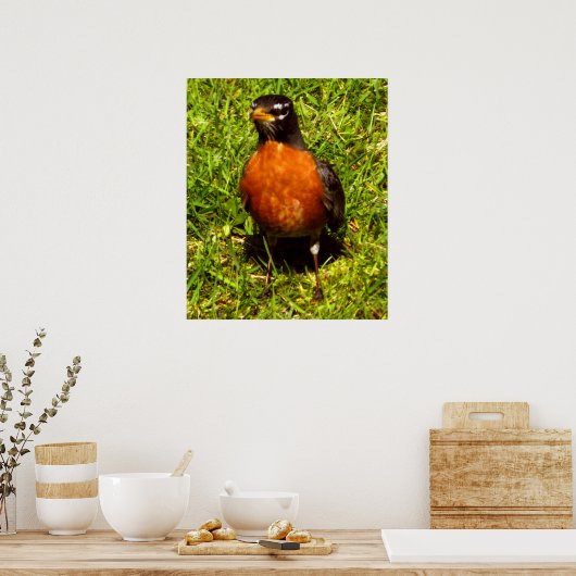 春ロビン ポスター (キッチン)