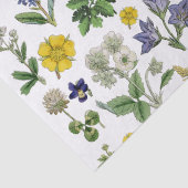 春ワイルドフラワーイエローパープルフローラ 薄葉紙 (詳細)
