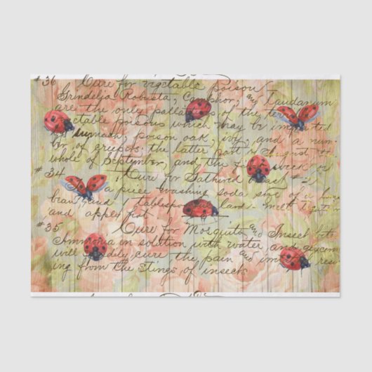 春ヴィンテージバラとLadyBugデコページ 薄葉紙 (正面)