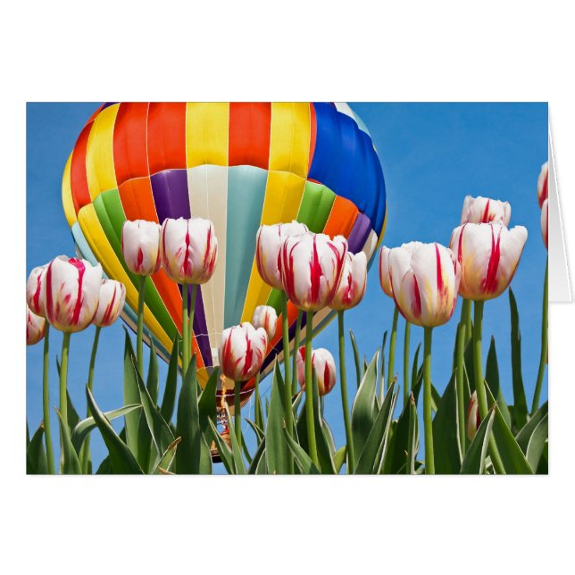 春乗車 (正面横)