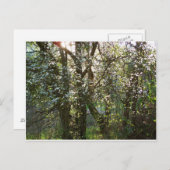 春付き木葉書 ポストカード (正面/裏面)