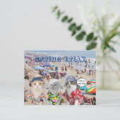 春休みのおもしろいな猫 ポストカード (スタンド正面)