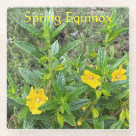 春分点 ガラスコースター