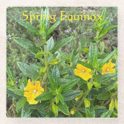 春分点 ガラスコースター (正面)