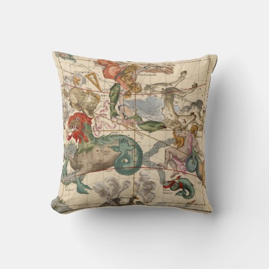 春分点 クッション (正面)