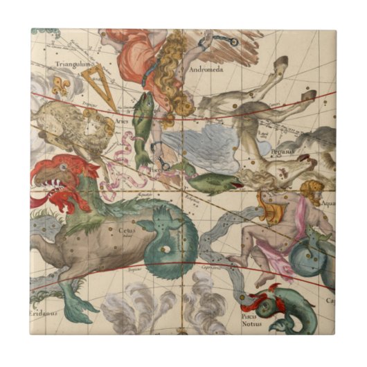 春分点 タイル (正面)