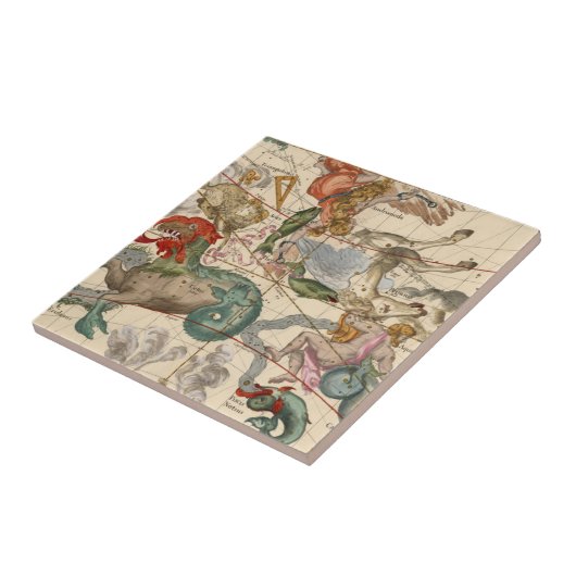 春分点 タイル (側面)