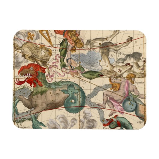 春分 マグネット (横)