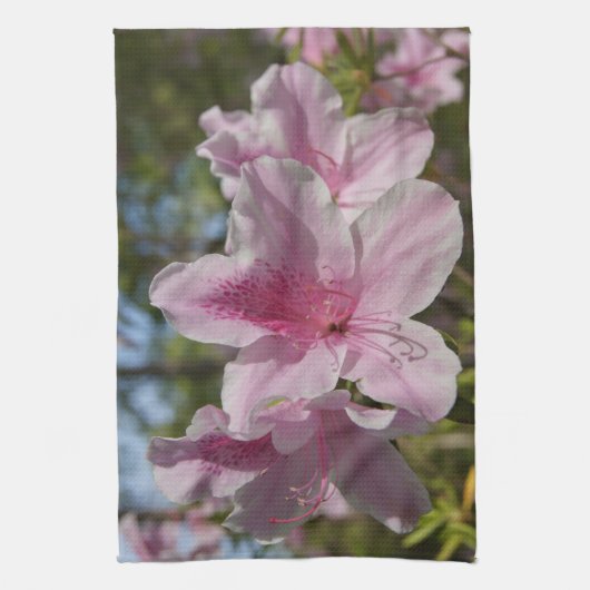 春到着 キッチンタオル (縦)