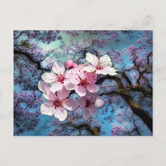 春到着 ポストカード (正面)