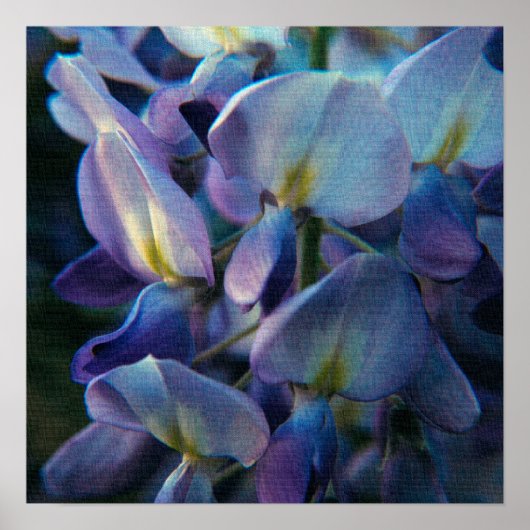 春創造ポスター ポスター (正面)