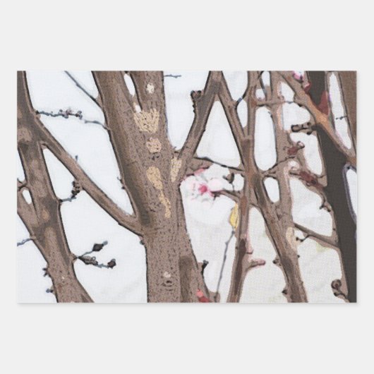 春包装紙フラットシートセット3 ラッピングペーパーシート (正面3)