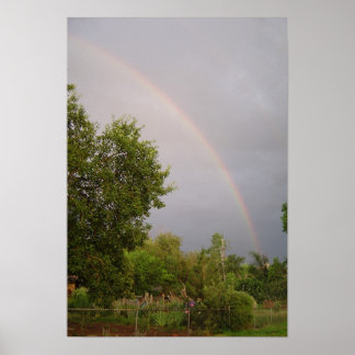 春午後 ポスター