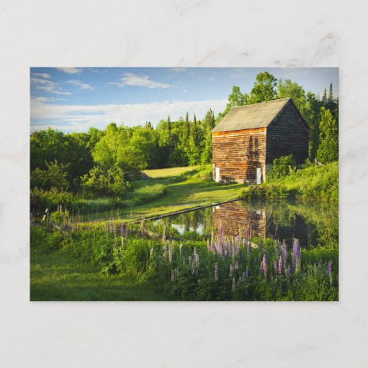 春反射のアディロンダックN.Y. ポストカード (正面)