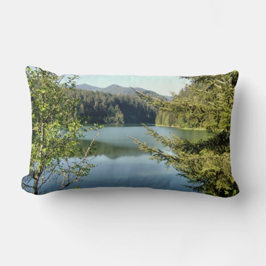 春反射 ランバークッション (正面)